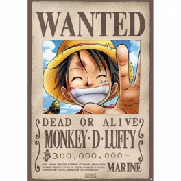 Placa de Metal One Piece Luffy 28x38