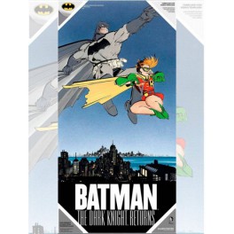 Poster Vidrio DC Batman y Robin 30x60