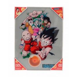 Poster Vidrio Dragon Ball Personajes 30x40