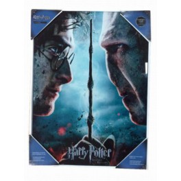 Poster Vidrio Harry Potter y Voldemort 30x40