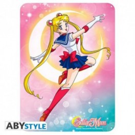Placa de Metal Sailor Moon 28x38