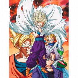 Poster Vidrio Dragon Ball Z Heroes vs Cell 30x40