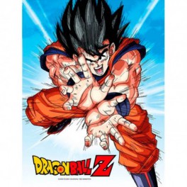 Poster Vidrio Dragon Ball Z Goku Kame 30x40