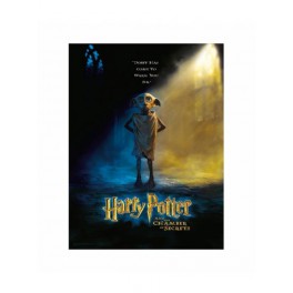 Poster Vidrio Harry Potter Dobby 30x40
