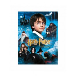 Poster Vidrio Harry Potter y la Piedra Filosofal