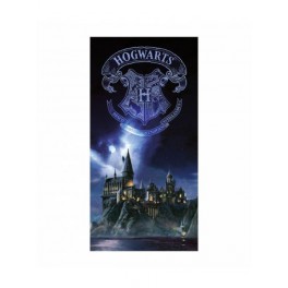 Poster Vidrio Harry Potter Hogwarts 30x60